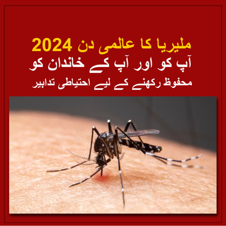 World Malaria Day 2024