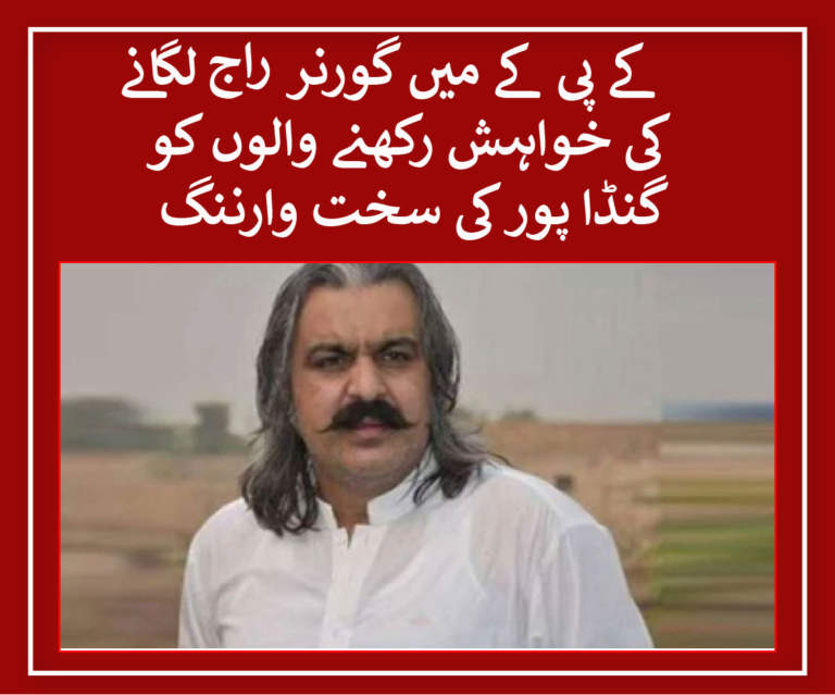 Ali Amin Gandapur