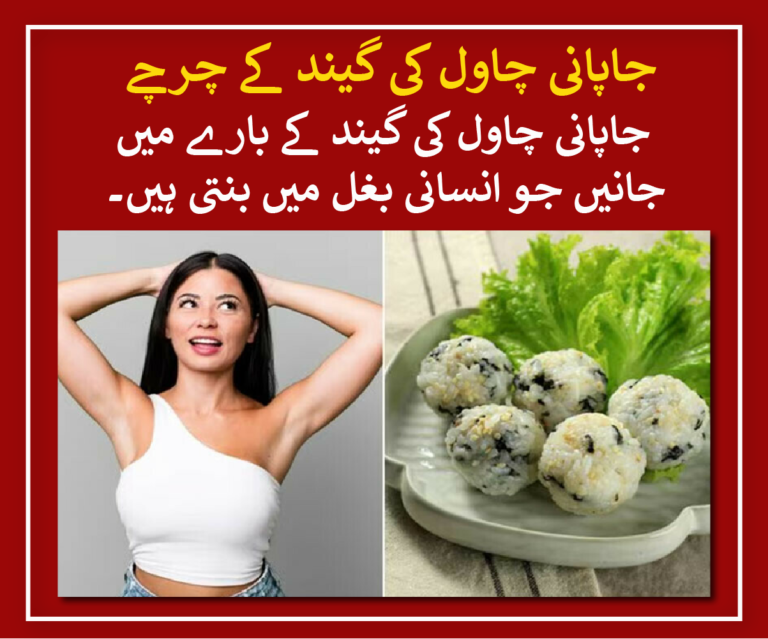 learn about japenes rice ball which are made in human armpit