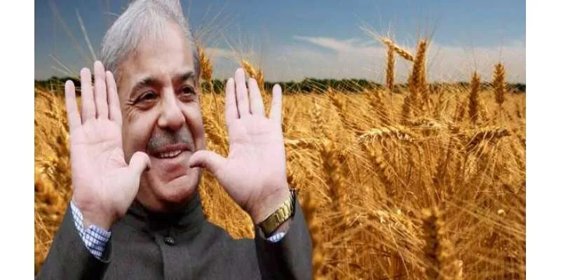 PM shahbaz sharif directly involved in wheat import